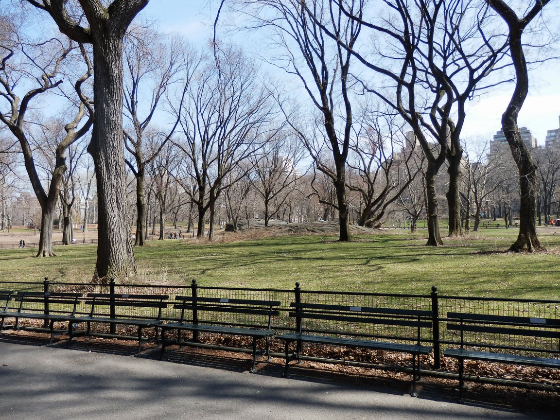 Central Park